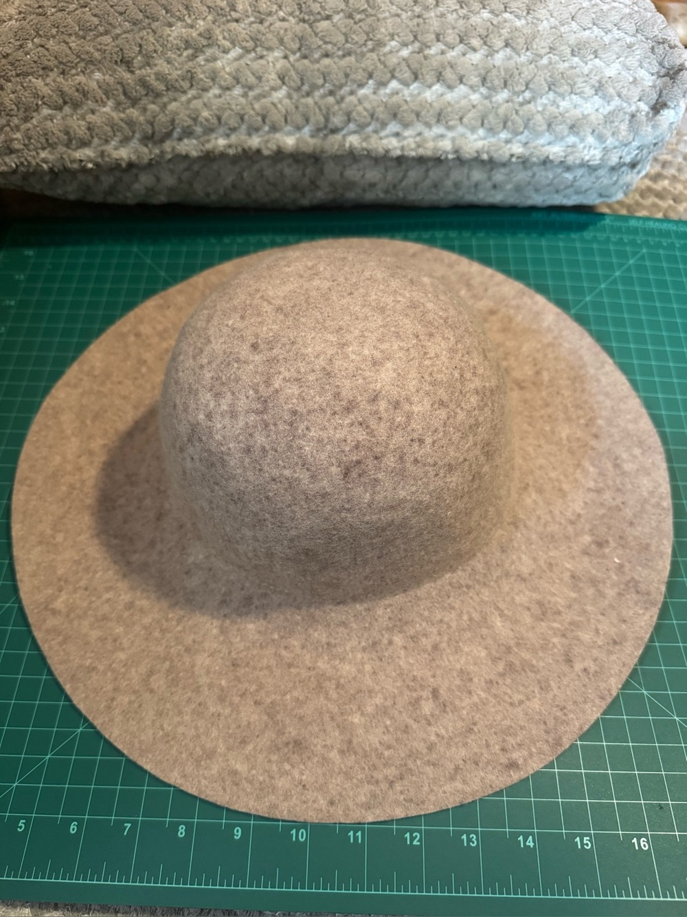 Lovely bird  100% wool hat